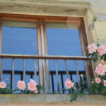 spring-clip-2013