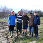 happy-farm-team