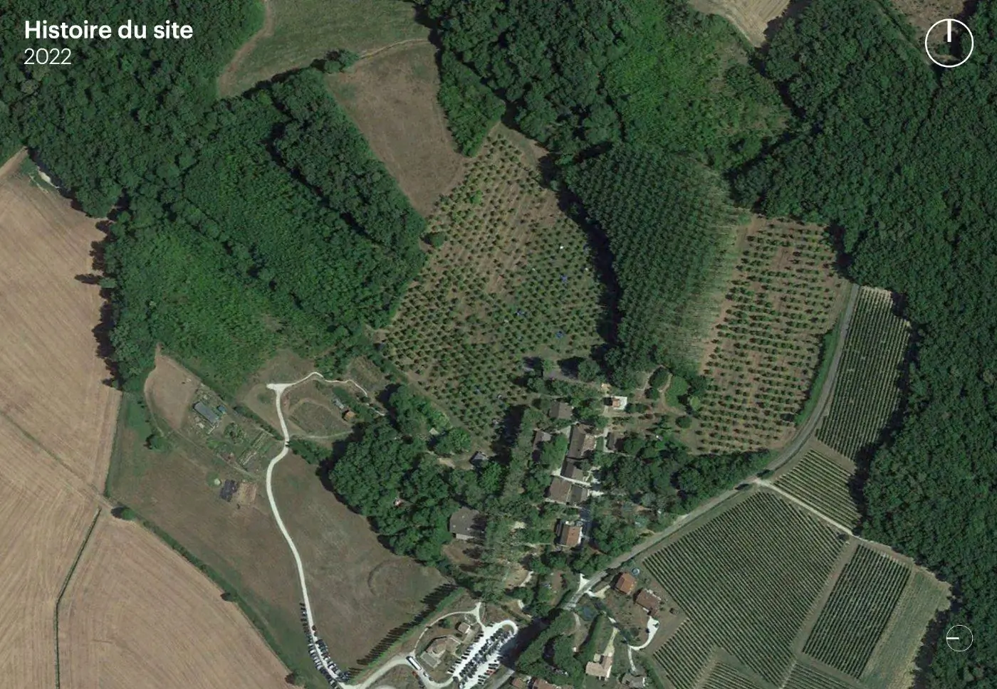 The site in 2022, rewilded