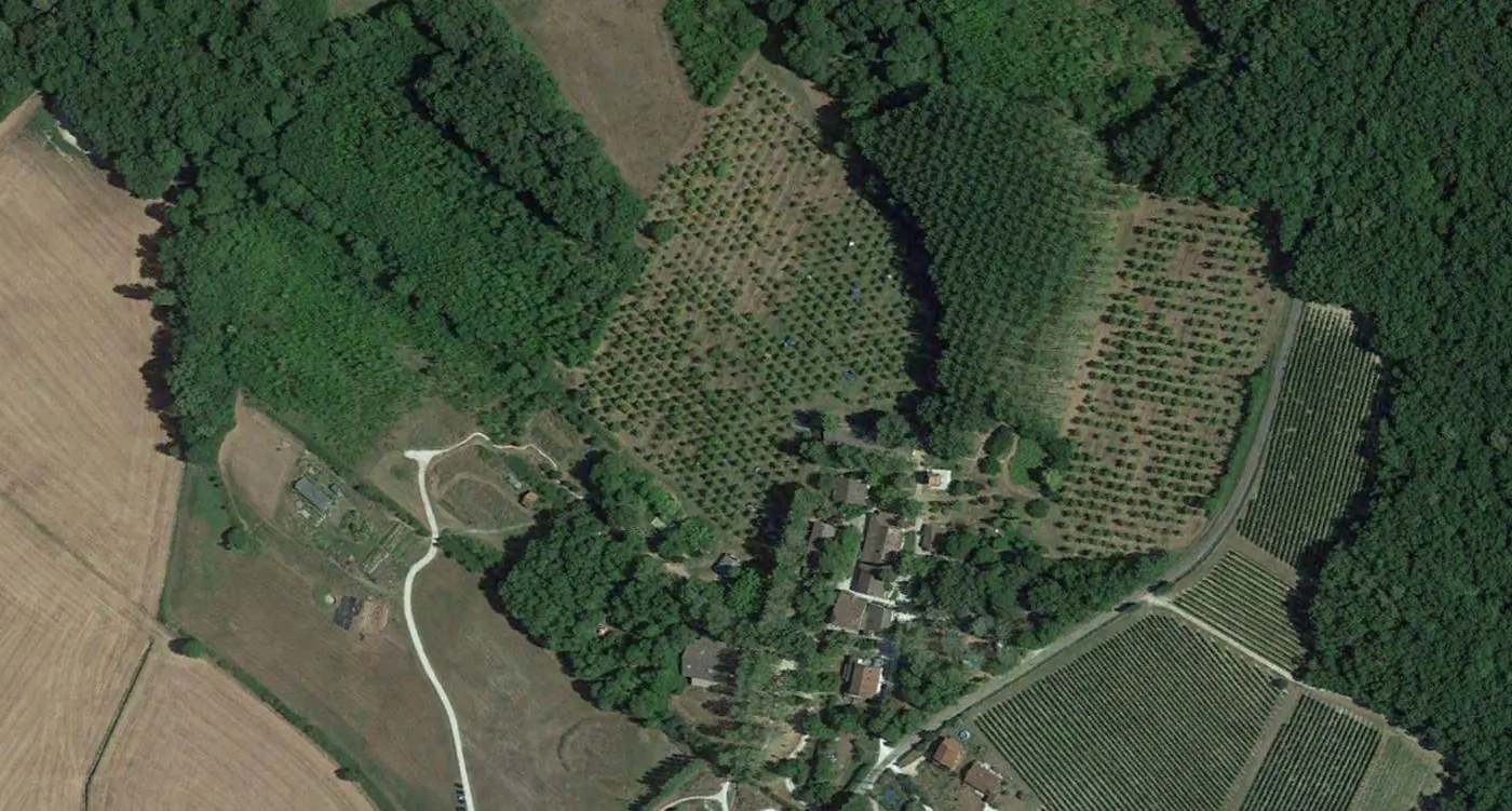 The site in 2022, rewilded