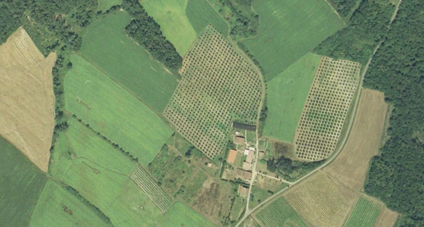 The site in 1991