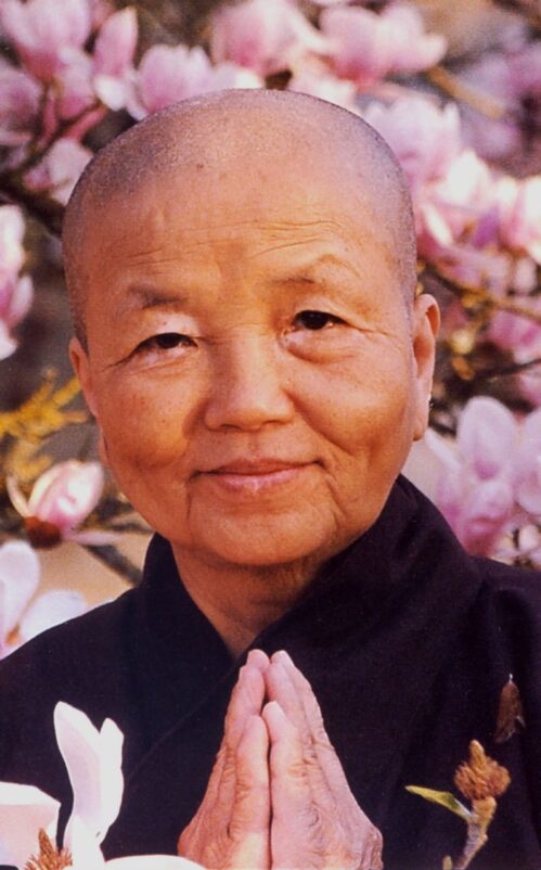 Sister Chan Khong - Magnolia portrait