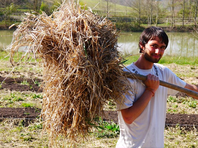 Happy Farm hay fork