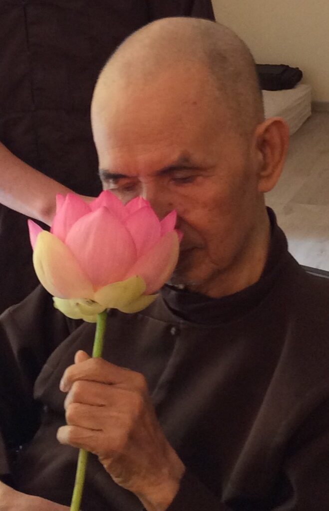 Thay enjoying the fragrance of a lotus flower, 16 June, 2015