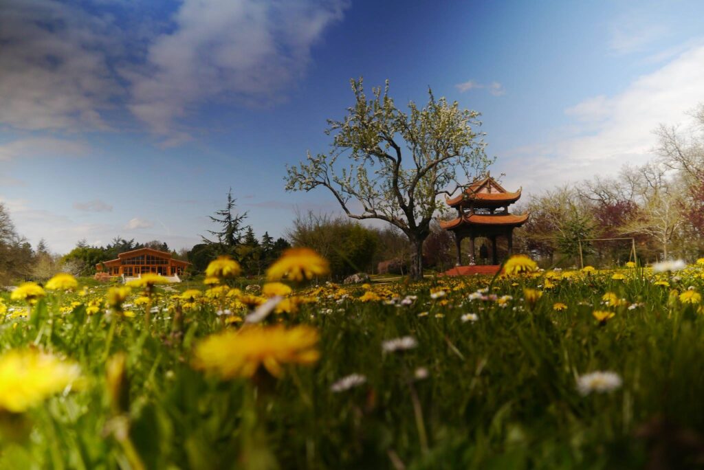 Spring Upper Hamlet Wouter Verhoeven