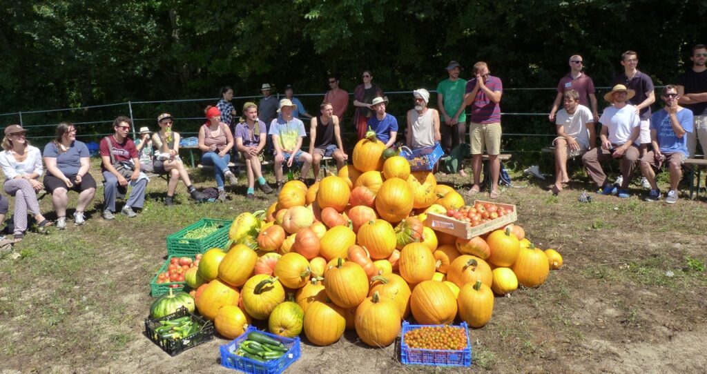 Happy Farm pumpkin pile