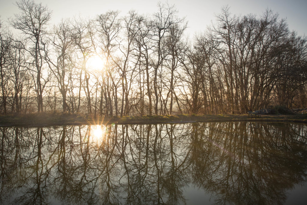 Seeing the roots of suffering and a path of transformation