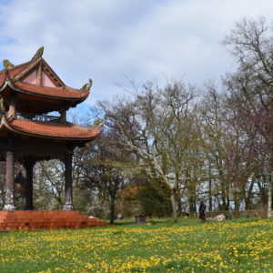 Upper Ha;let bell tower surrounded by flowers