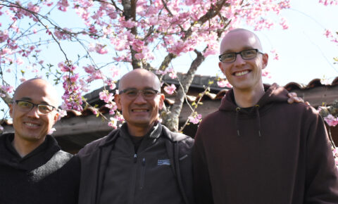 Three brothers in front of a blooming tree