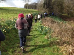 File de marcheurs dans la campagne irlandaise