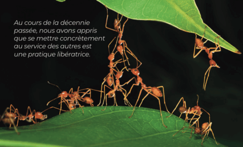 Fourmis en collaboration