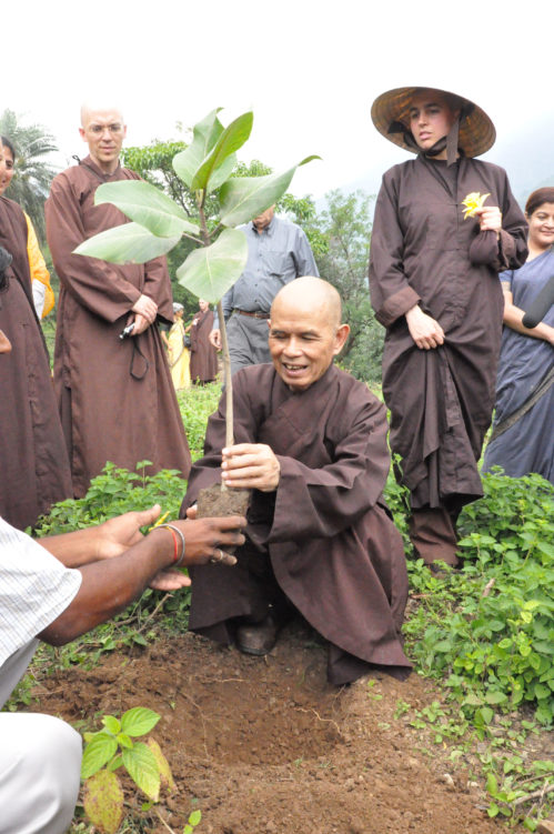 Thich Nhat Hanh planting a Bodhi tree in India, 2008