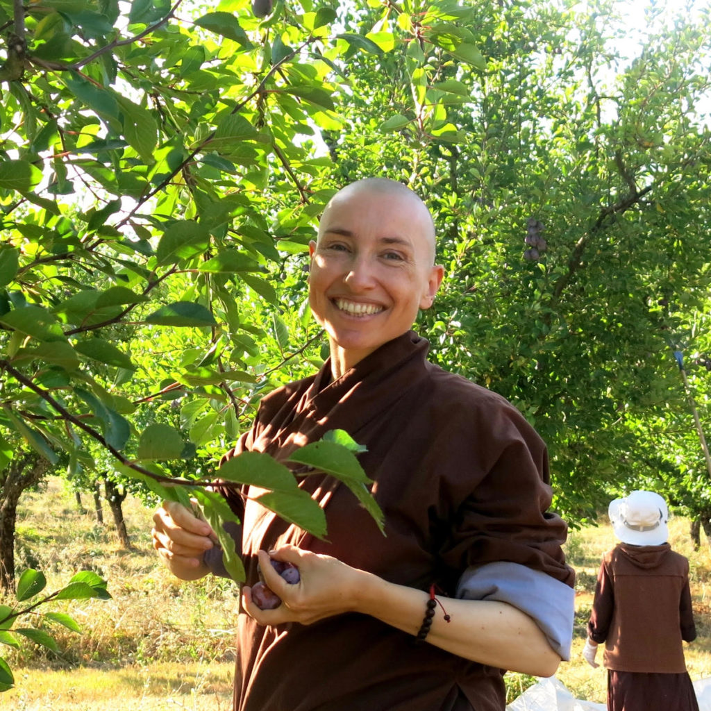 Sister Hien smiling in the plum orchard durng summer time