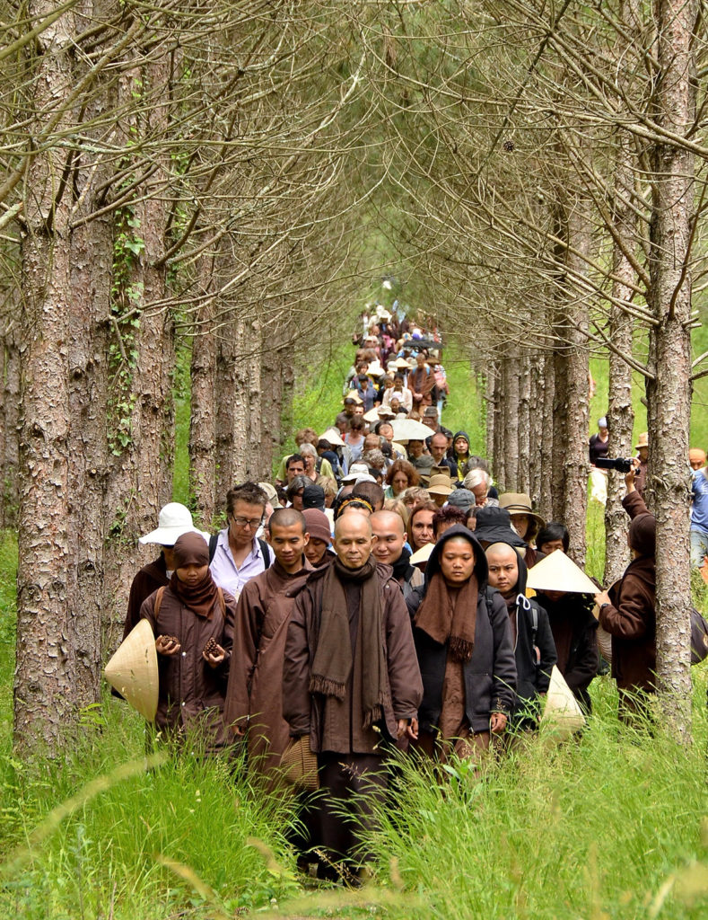 Thich Nhat Hanh - La biografia - Culture-Nature Magazine