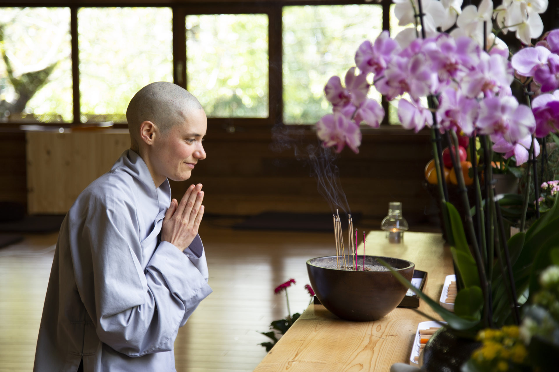 Monastic Life / Chestnuts to warm up the sangha - an interview with new ...
