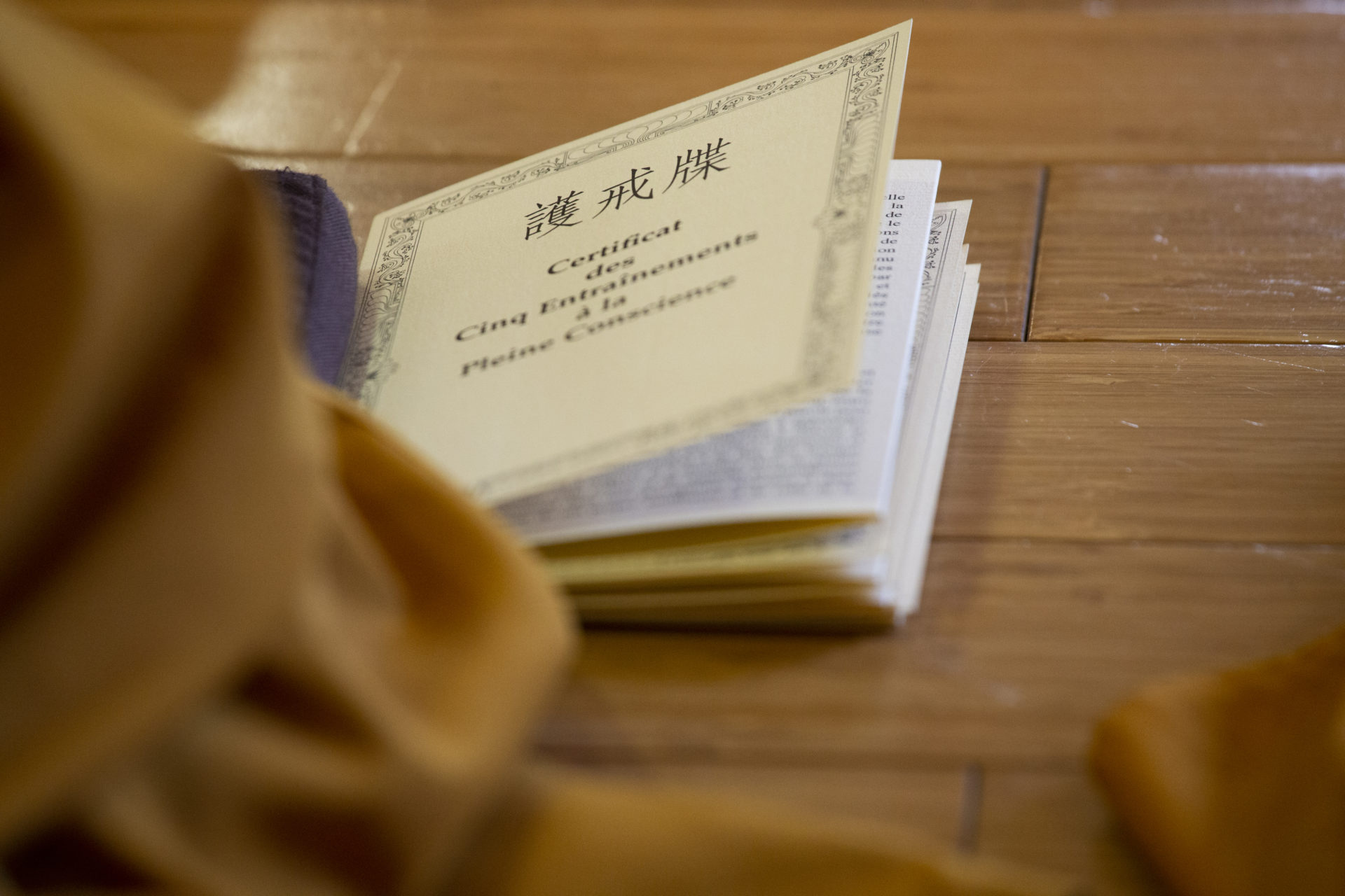 五項正念修習 Plum Village