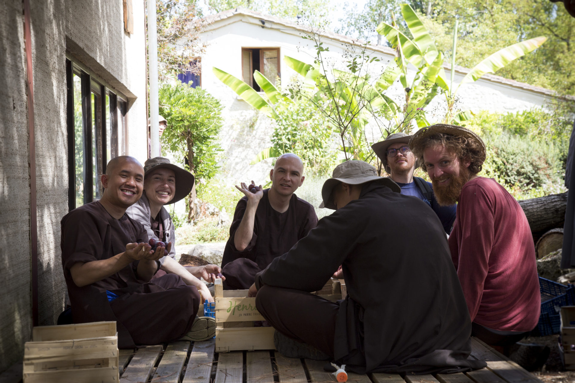 Updates / The Plum Village Shop starts with… Plums! Plum Village