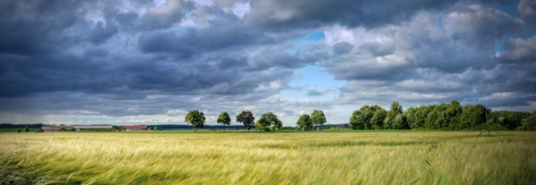 Pouvons-nous éviter un effondrement écologique mondial ?