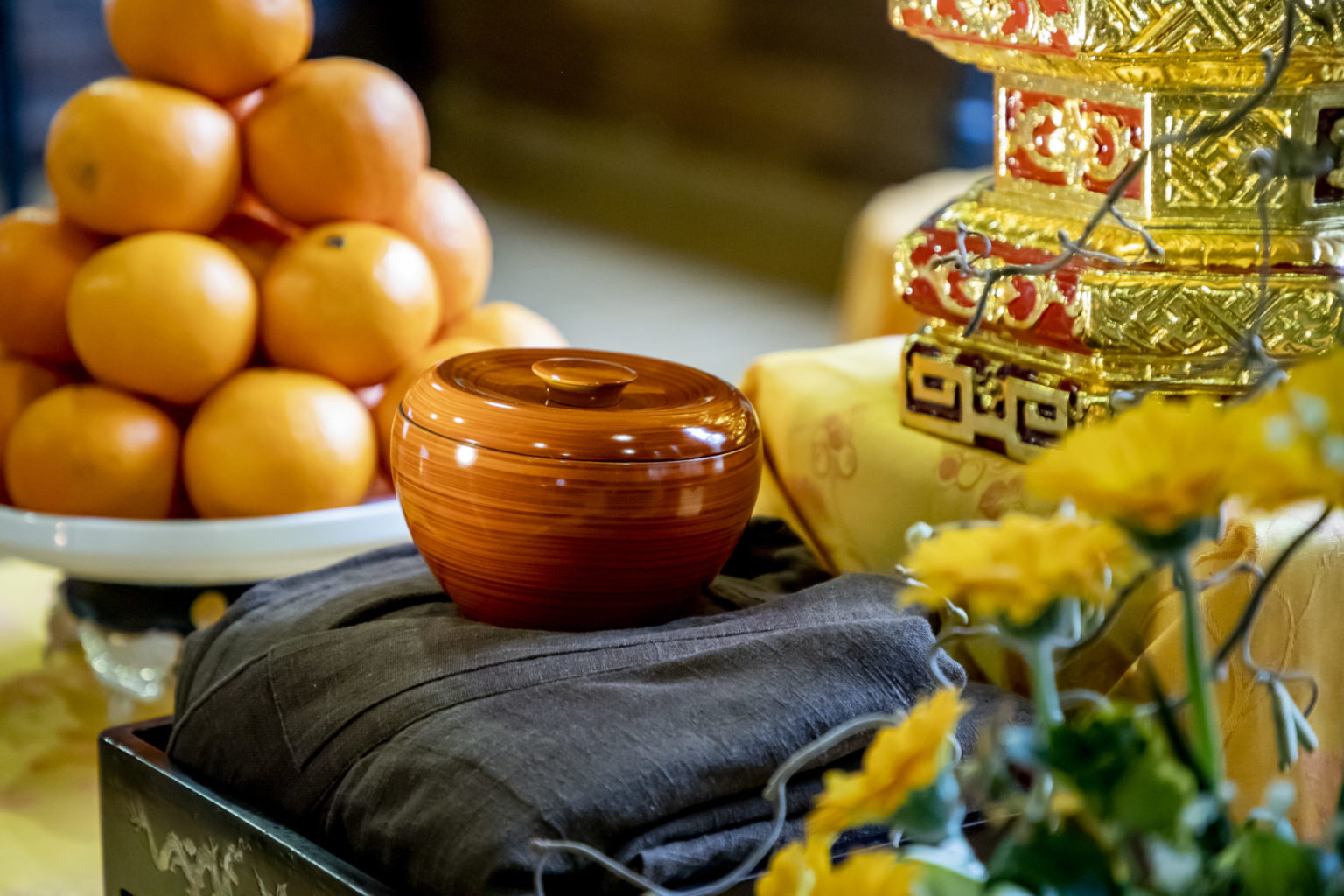 Thich Nhat Hanh live blog Plum Village