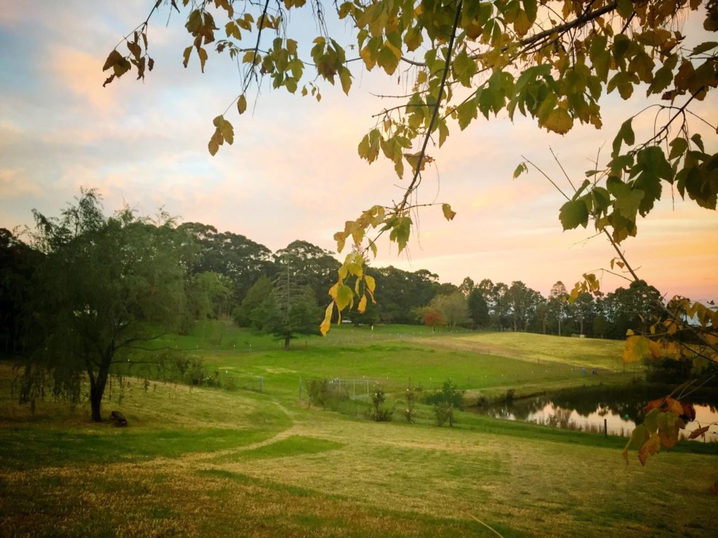Mountain Spring Monastery Plum Village