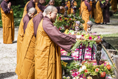 Photos / Vesak Celebration Photos | Plum Village