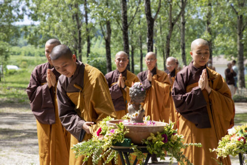 Photos / Vesak Celebration Photos | Plum Village