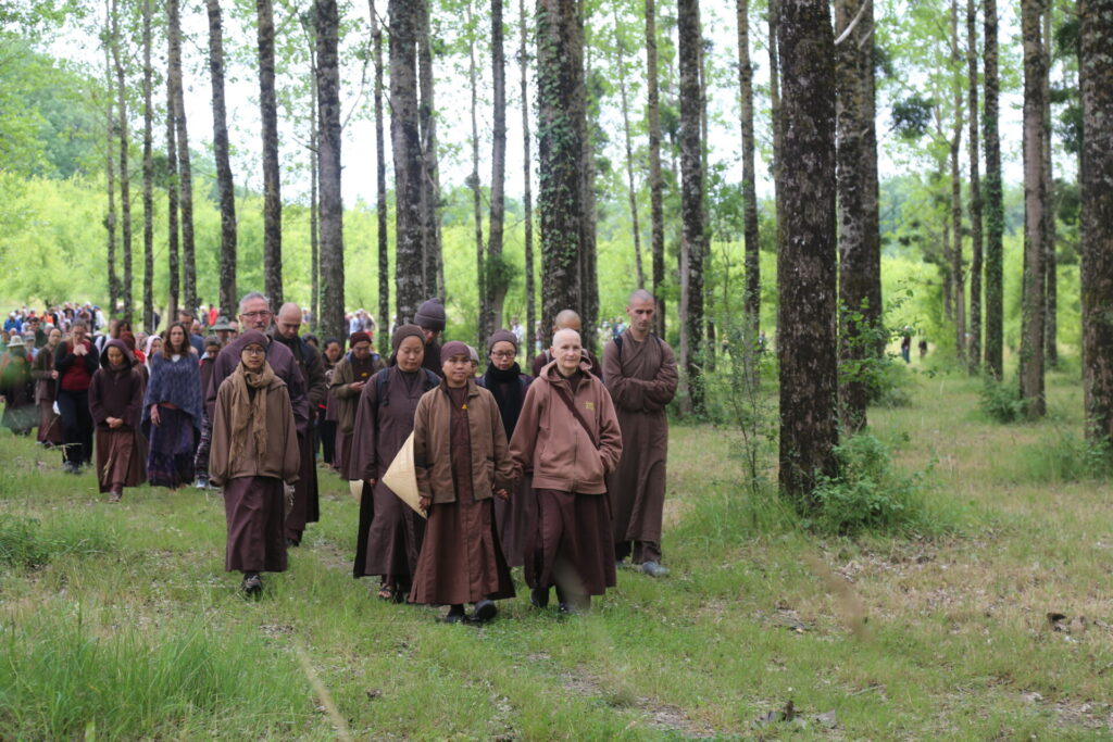 40 Years of Plum Village / “Now we have a path, we have nothing more to fear” Retreat Plum Village