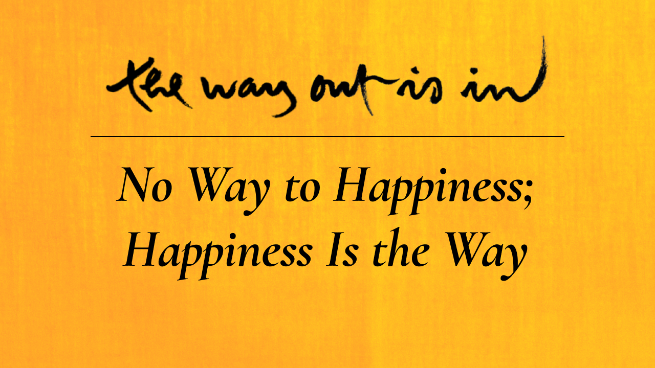 There Is No Way To Happiness Happiness Is The Way Meaning In Hindi