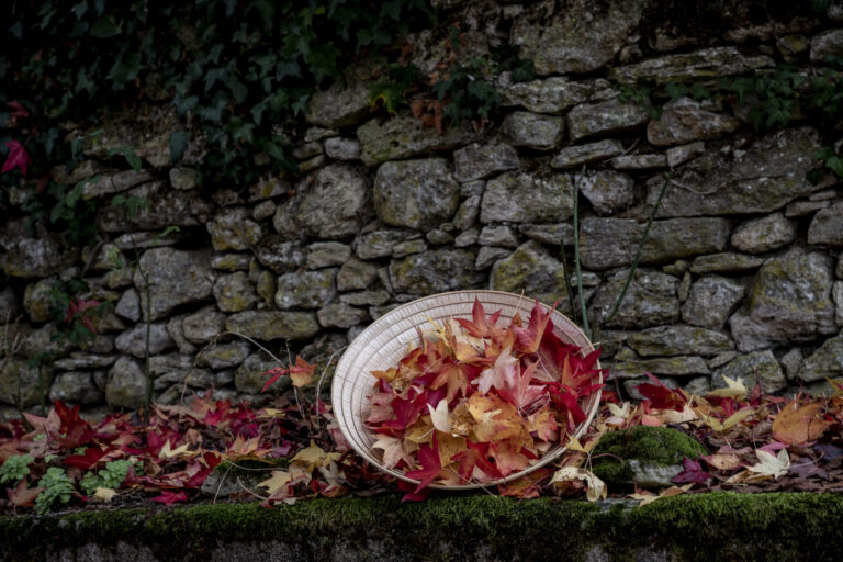 Sample Schedule Plum Village