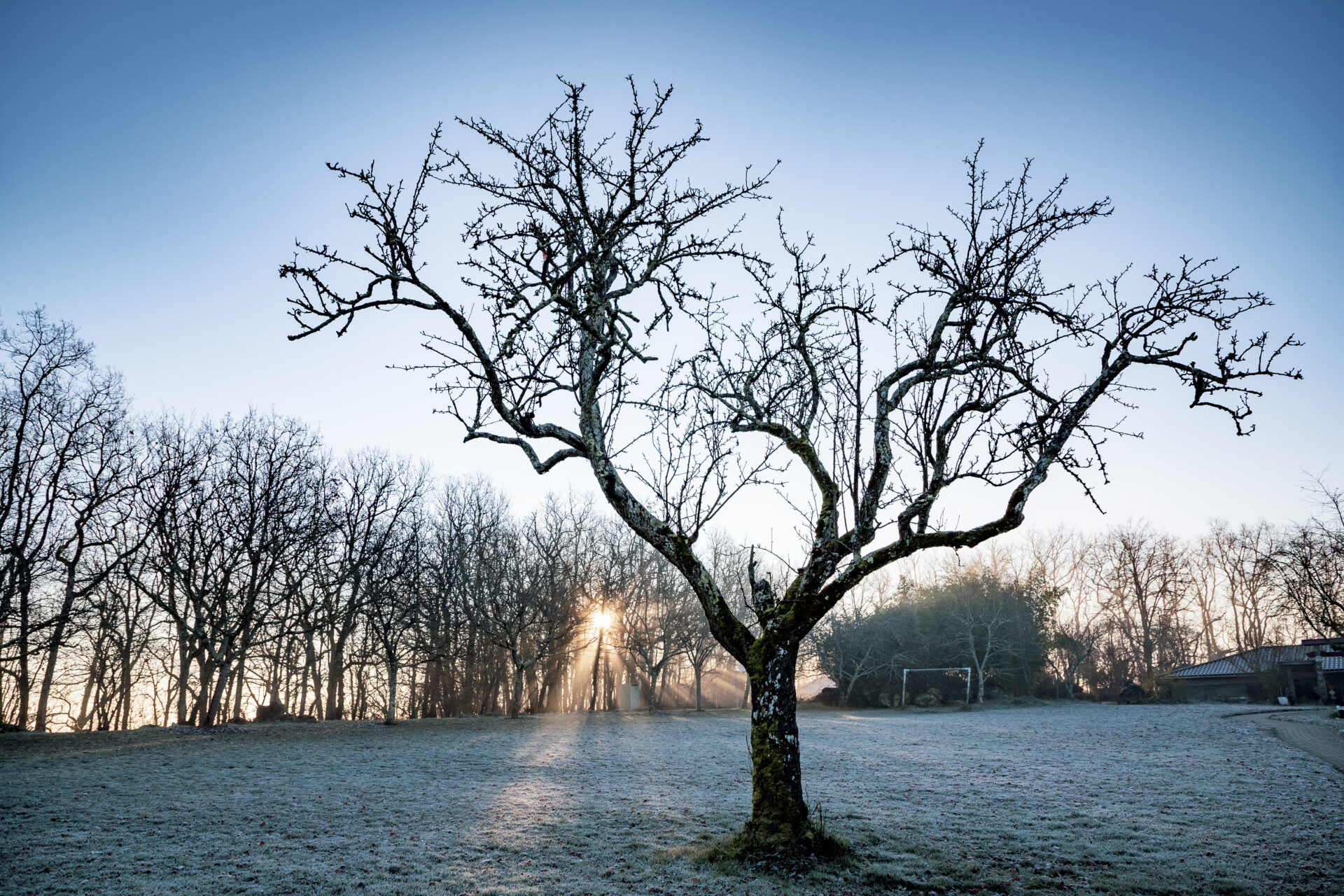 Winter Retreat At Plum Village France 