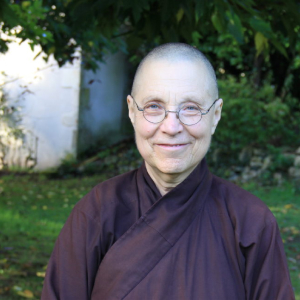 Mindful, Caring Consumption — Sr Từ Nghiêm — Plum Village France