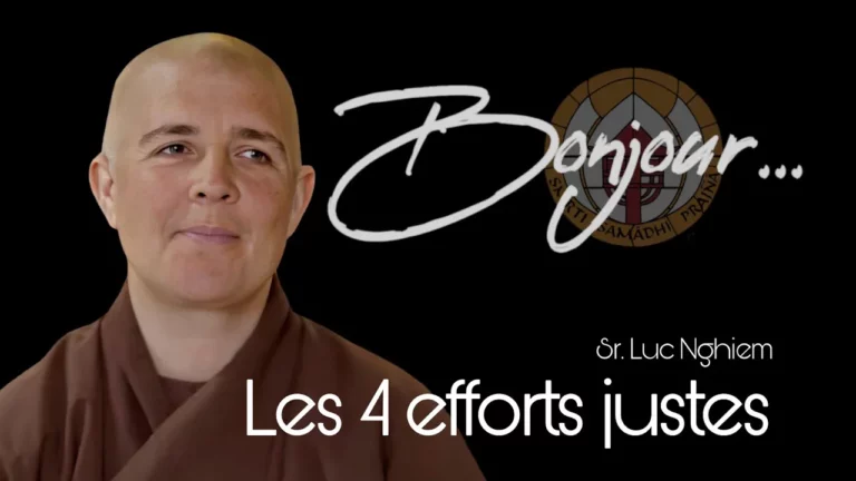 Prendre soin de notre esprit avec les 4 efforts justes