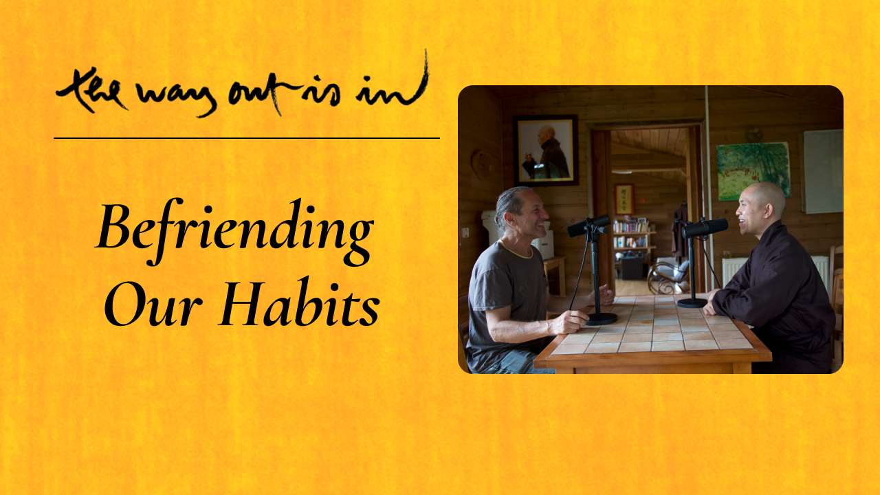 Befriending Our Habits (Episode 44) Plum Village