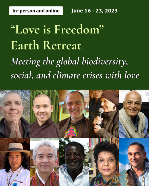 This image has an empty alt attribute; its file name is Earth-retreat-2023-poster-499x623.png