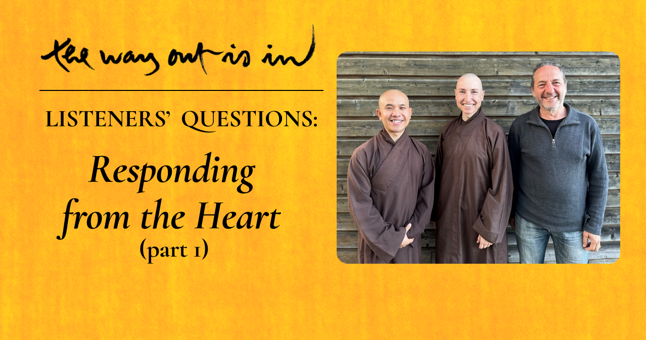 Listeners’ Questions Responding from the Heart (Episode 51) Plum