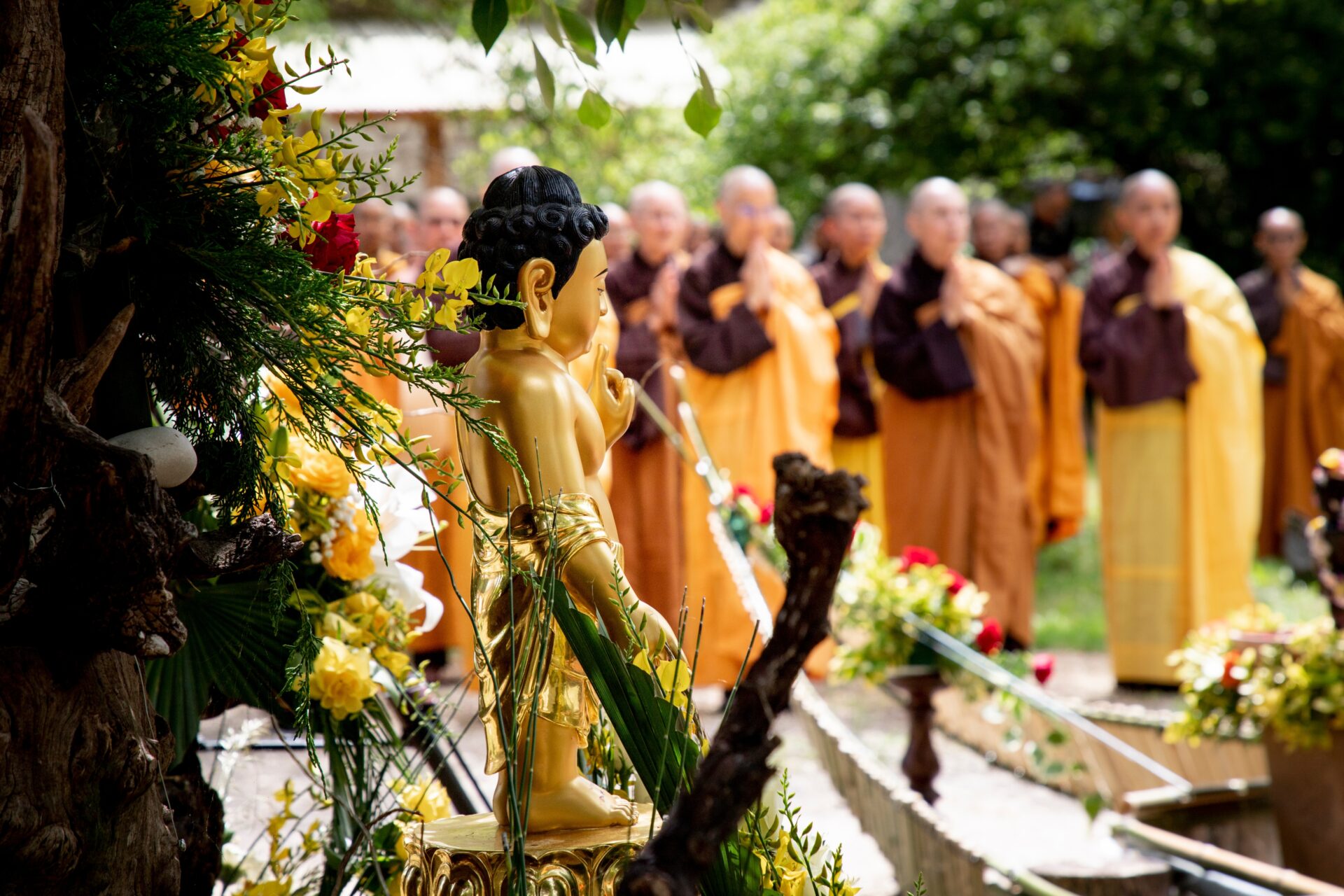 Honorer le Bouddha (Vésak) | Plum Village
