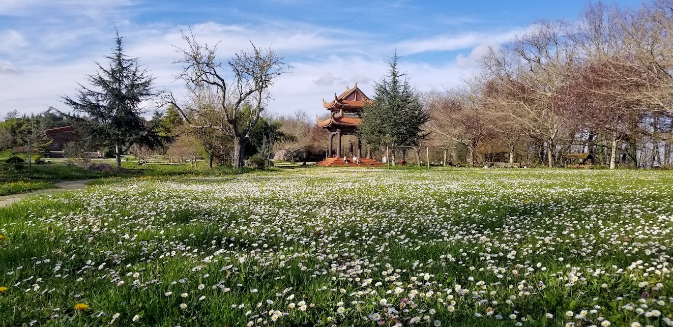 2025 Retreats & Events in Plum Village France Plum Village