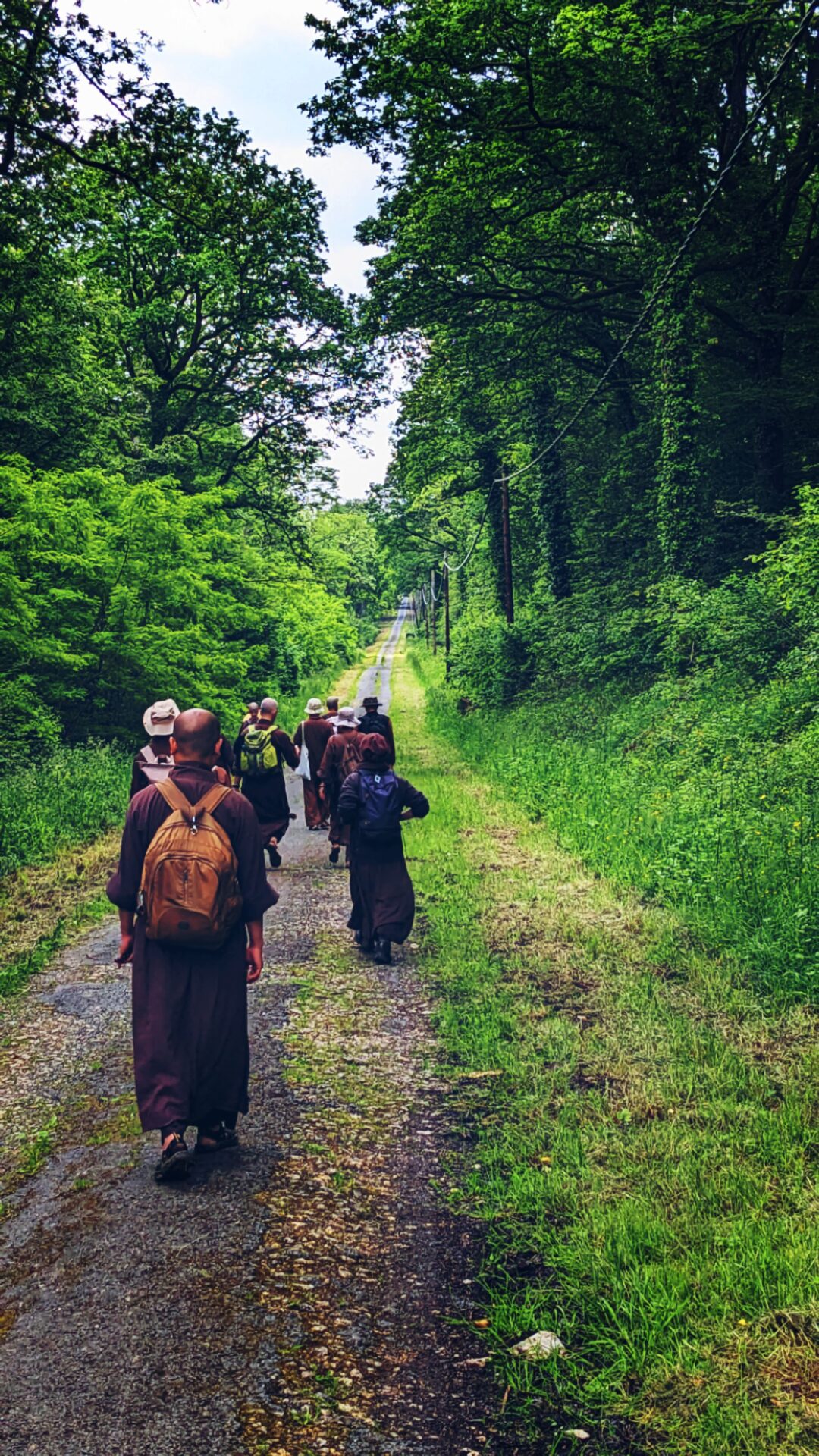 Meditation and Hiking Retreat: Walking in the Countryside