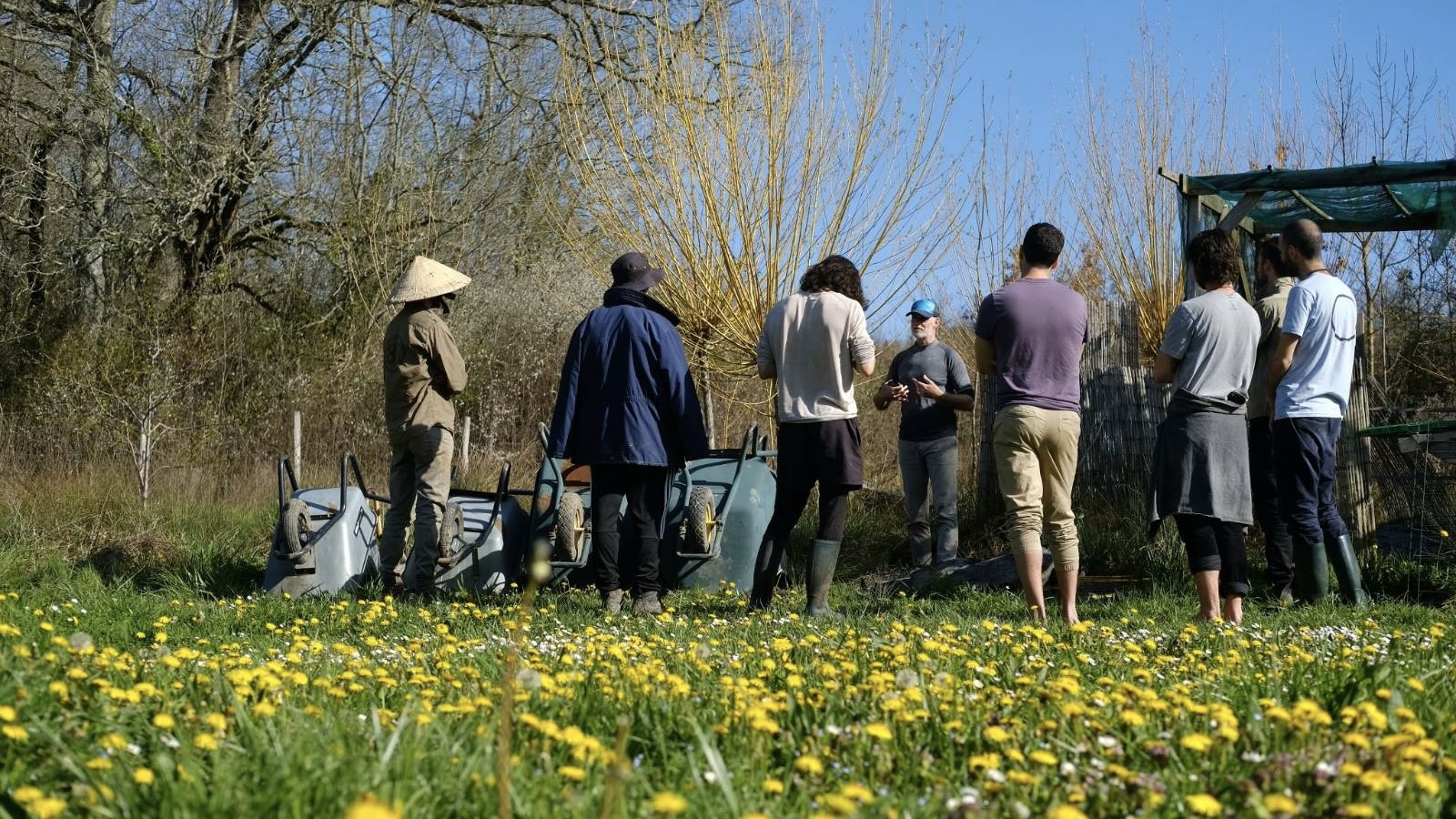 The Wisdom of Spring: Trust the Unfolding | Plum Village