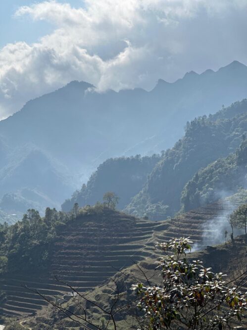 In the Footsteps of Thầy: A Journey to Our Spiritual Roots