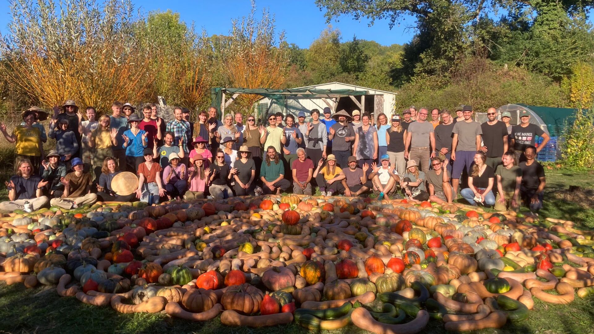 The Wisdom of Autumn: The Reality of Interbeing is Unsurpassed.