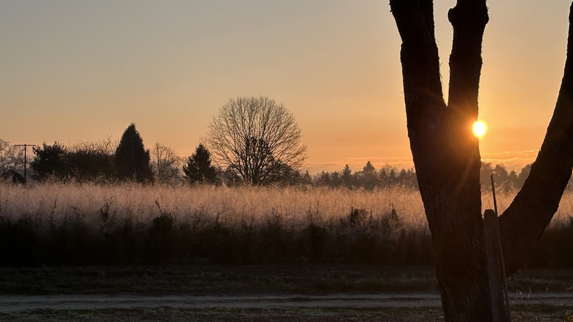 Running: Another Way to Stop