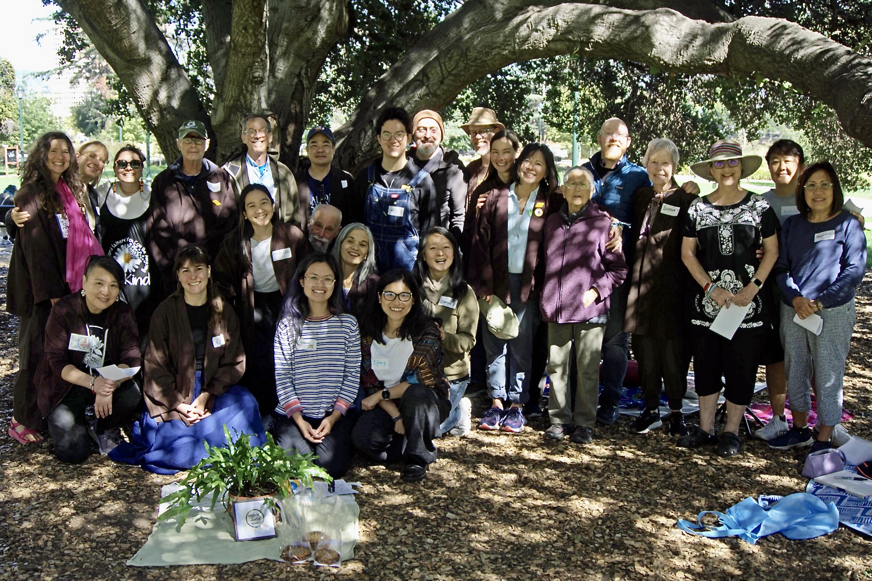 Sangha Fire-Building Sessions Around the World