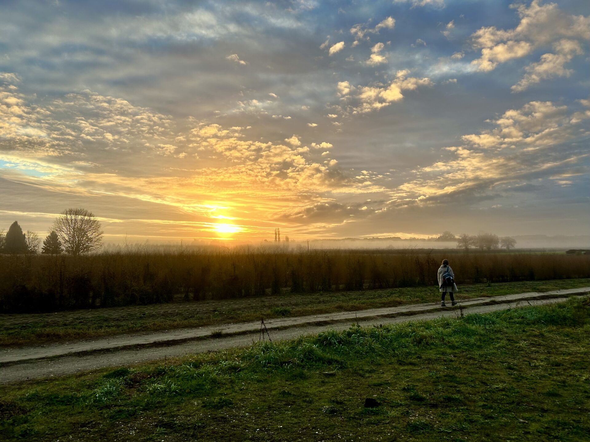Befriending Loneliness during the Holiday Season