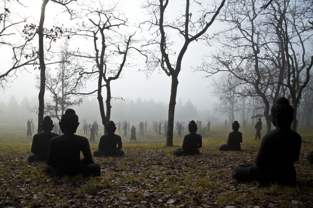 The Wisdom of Winter: Stopping & Looking Deeply