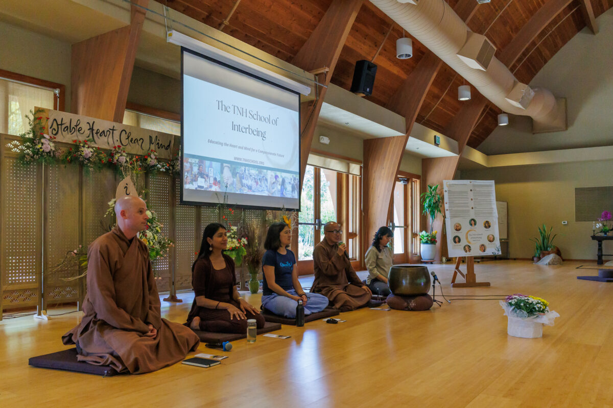 Not a Choice, a Current: a Homecoming through the TNH School of Interbeing