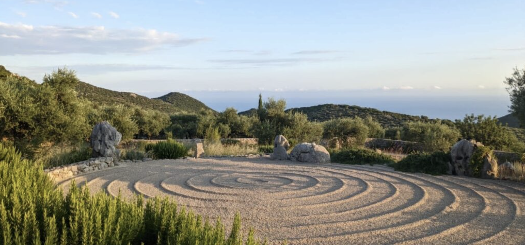 Healing Begins Here: The Four Immeasurable Loves