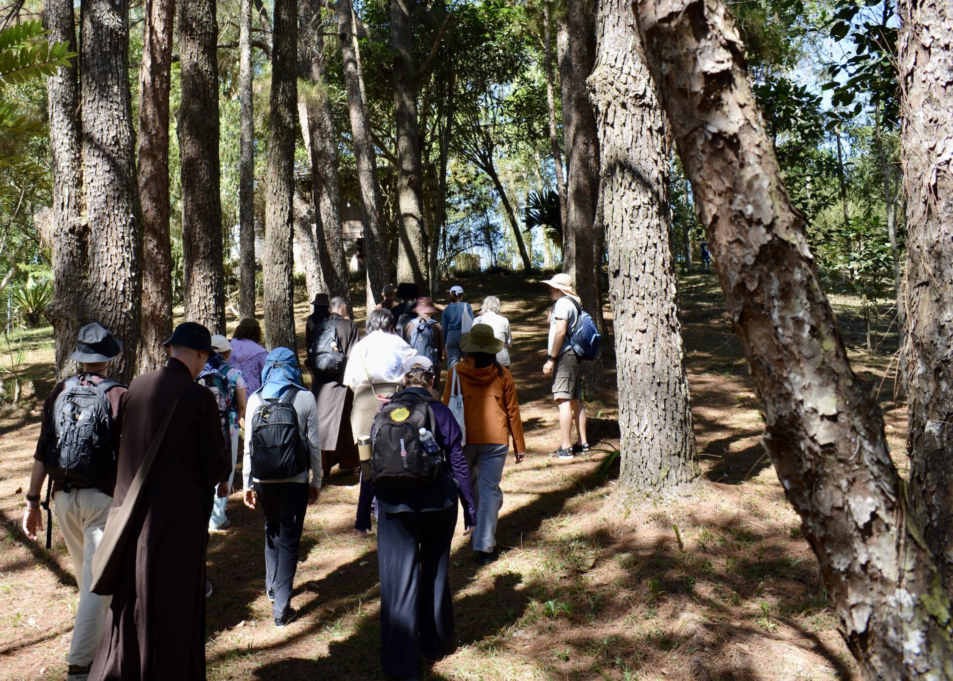 “This Bitter Earth… may not be so bitter after all.”