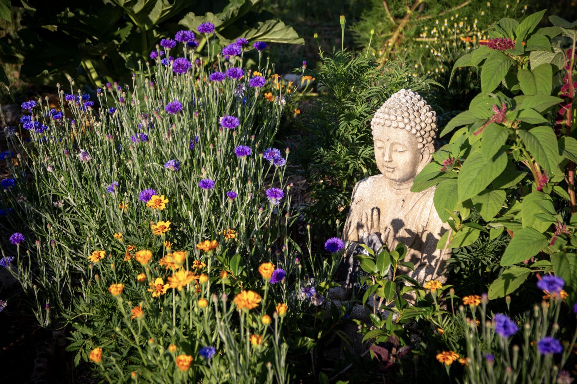 Is Peace in Ourselves Healing the Planet?