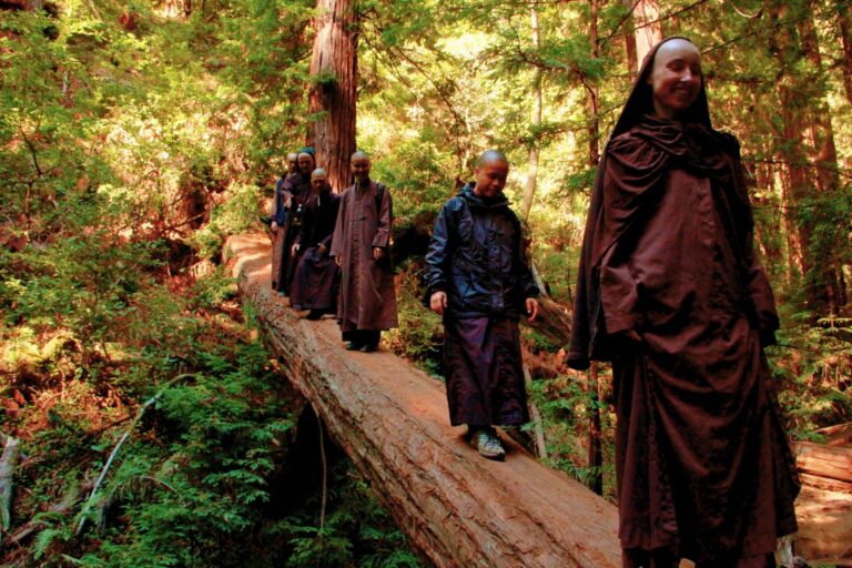 Nouvelles recherches sur le pouvoir de transformation des enseignements de Thich Nhat Hanh
